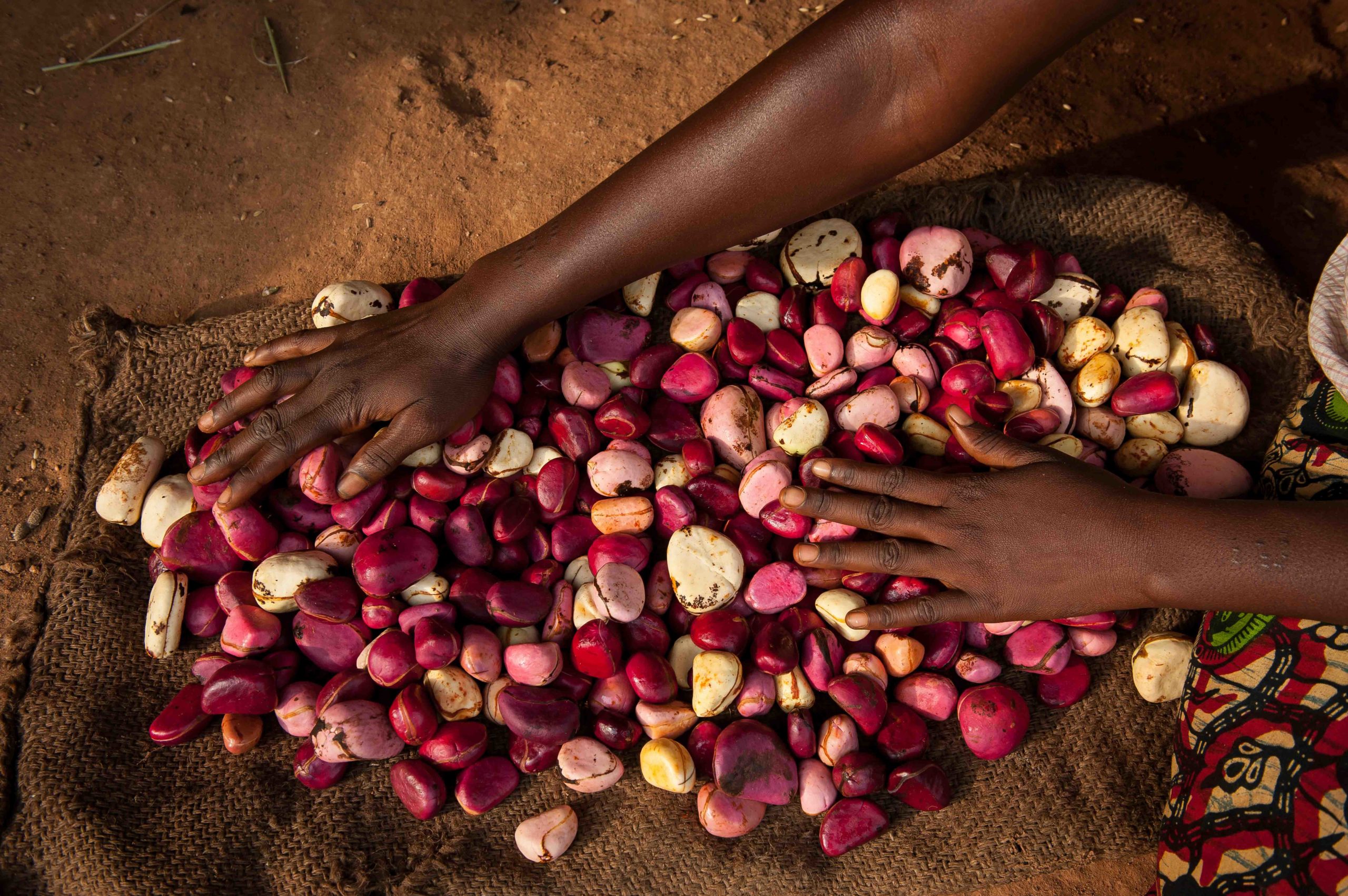 kola nut ceremony