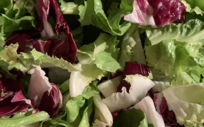 Explore chicories with these delicious recipes