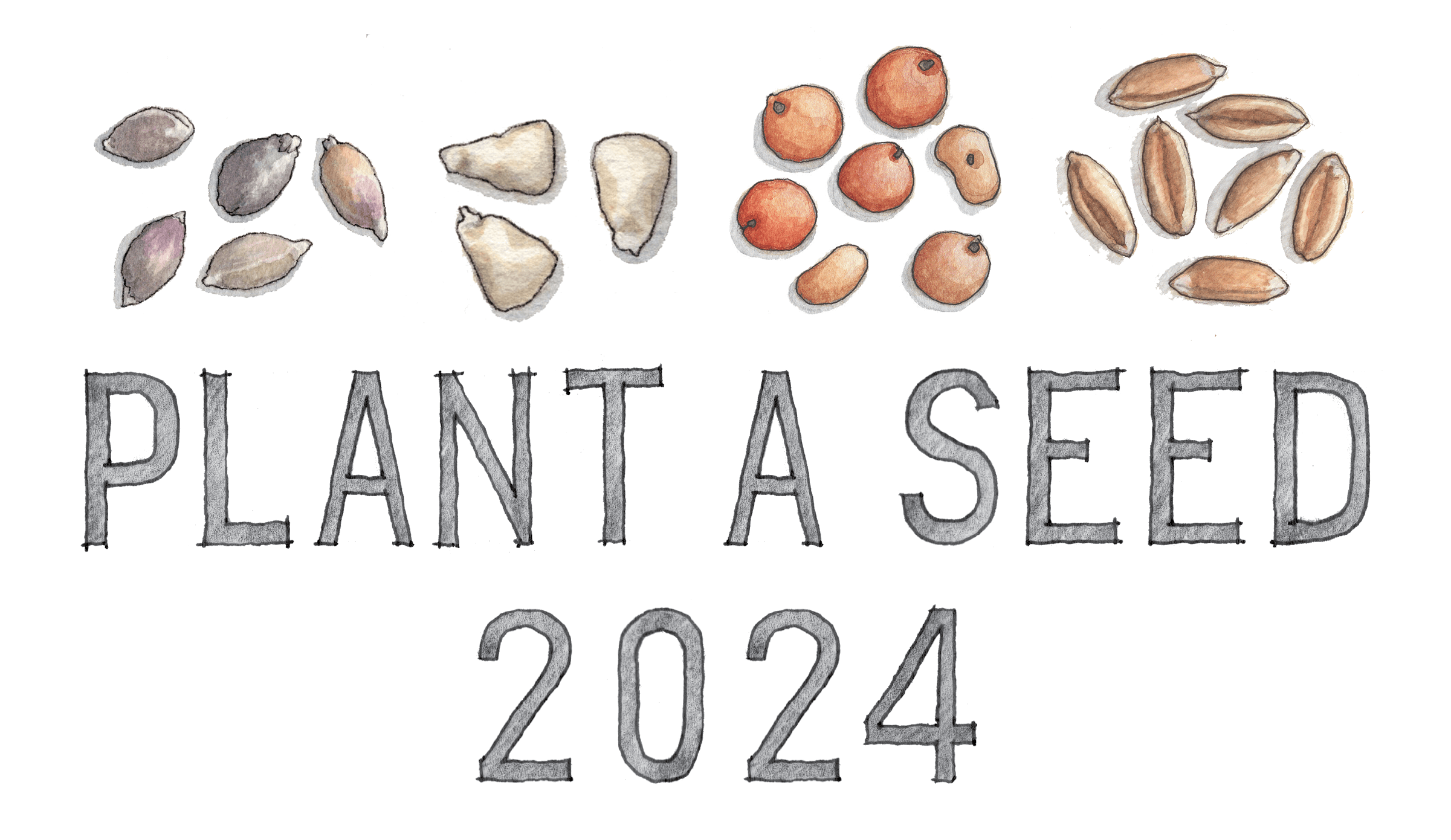 Plant A Seed 2024 Slow Food USA   Grains Pas24@2x 8 